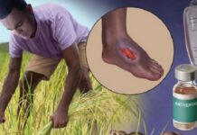 Día Mundial de las Enfermedades Tropicales Desatendidas