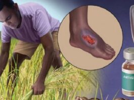 Día Mundial de las Enfermedades Tropicales Desatendidas