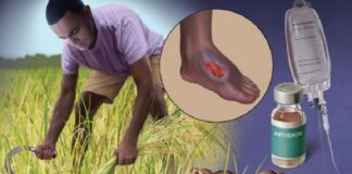 D铆a Mundial de las Enfermedades Tropicales Desatendidas