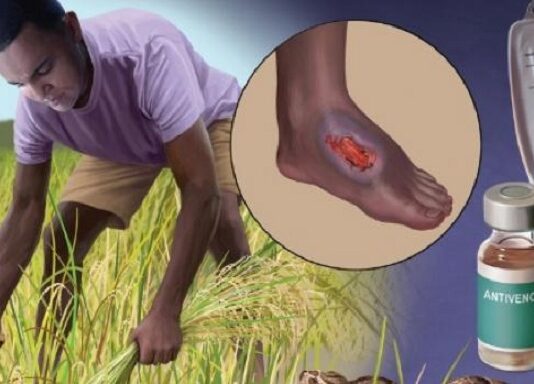 Día Mundial de las Enfermedades Tropicales Desatendidas