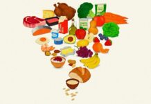 Nueva pirámide alimentaria: Estados Unidos prioriza la calidad sobre las calorías