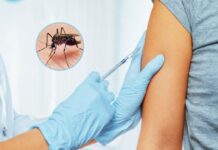 San Isidro: campaña de vacunación gratuita contra el dengue