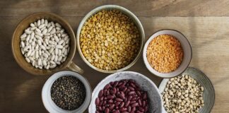 Día Mundial de las Legumbres: aliadas indiscutibles de la innovación, sostenibilidad y nutrición