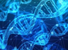 La genética gana protagonismo para detectar enfermedades en forma temprana