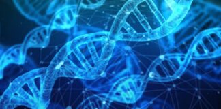 La genética gana protagonismo para detectar enfermedades en forma temprana